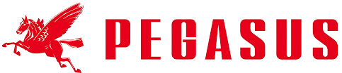 Pegasus